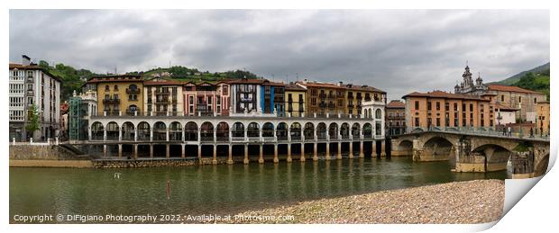 Tolosa Riverside Print by DiFigiano Photography