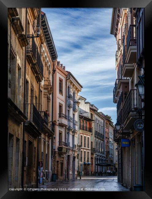 Oviedo Framed Print by DiFigiano Photography