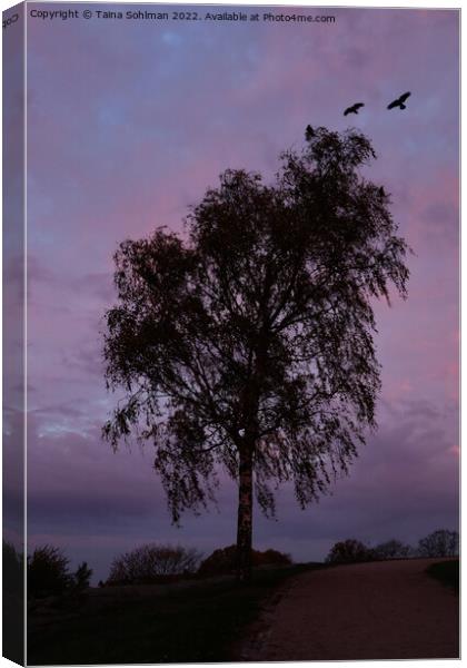 Tree and Crows in Silhouette at the Blue Hour Canvas Print by Taina Sohlman