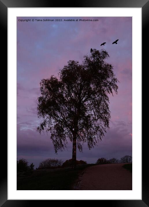 Tree and Crows in Silhouette at the Blue Hour Framed Mounted Print by Taina Sohlman