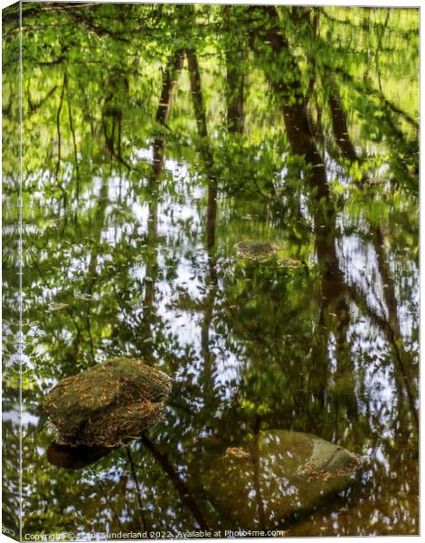 Abstract Reflections in Strid Wood Canvas Print by Mark Sunderland
