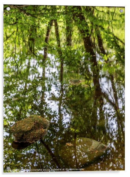 Abstract Reflections in Strid Wood Acrylic by Mark Sunderland