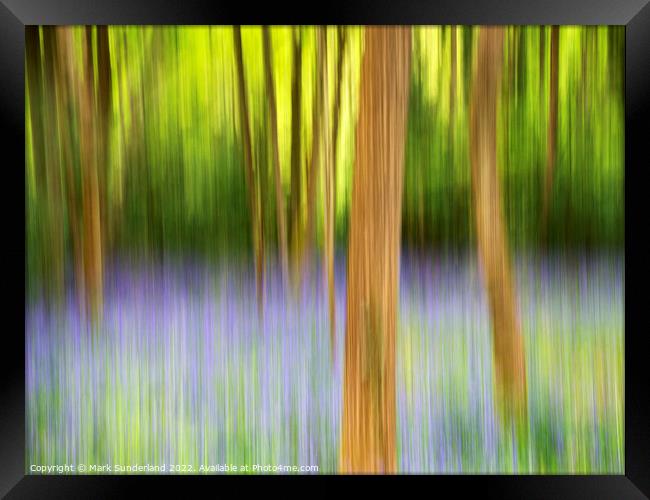Abstract Bluebell Woodland Framed Print by Mark Sunderland