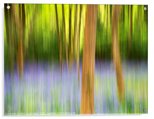 Abstract Bluebell Woodland Acrylic by Mark Sunderland