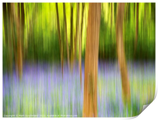 Abstract Bluebell Woodland Print by Mark Sunderland