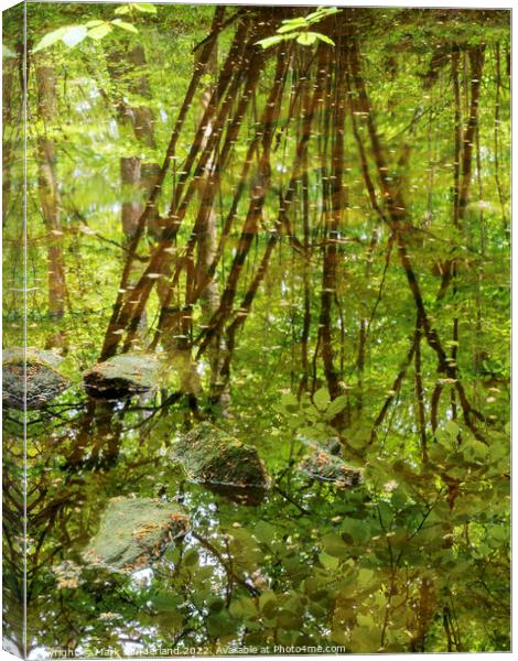 Abstract Reflections in Strid Wood Canvas Print by Mark Sunderland