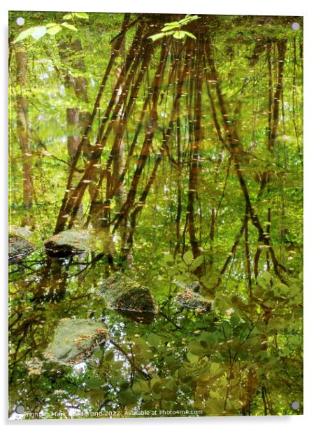 Abstract Reflections in Strid Wood Acrylic by Mark Sunderland