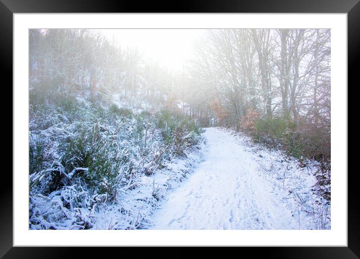 snowy mountain road in the foggy forest Framed Mounted Print by David Galindo