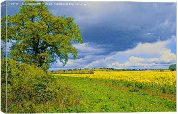 Field View Oil Panting effect Canvas Print by Stephen Pimm