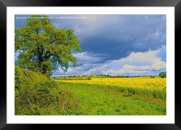 Field View Oil Panting effect Framed Mounted Print by Stephen Pimm