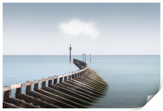 Littlehampton West Beach Pier Print by Mark Jones