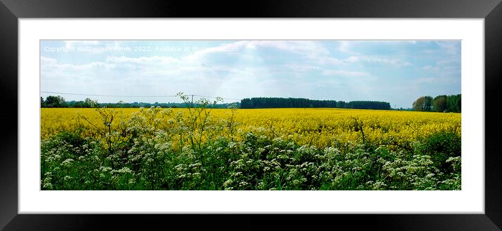Panoramic Rapeseed Field View Framed Mounted Print by Stephen Pimm