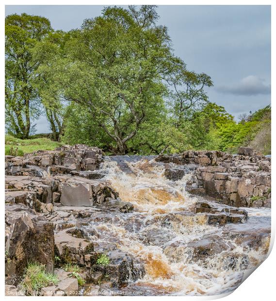 Spring Cascade at Low Force Waterfall, Teesdale Print by Richard Laidler