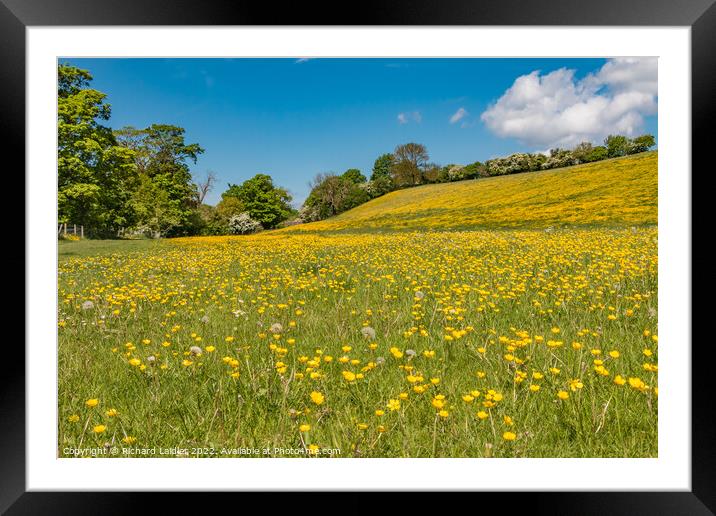 Buttercup Meadow Framed Mounted Print by Richard Laidler