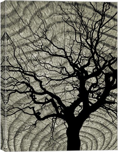 tree and wood Canvas Print by Heather Newton