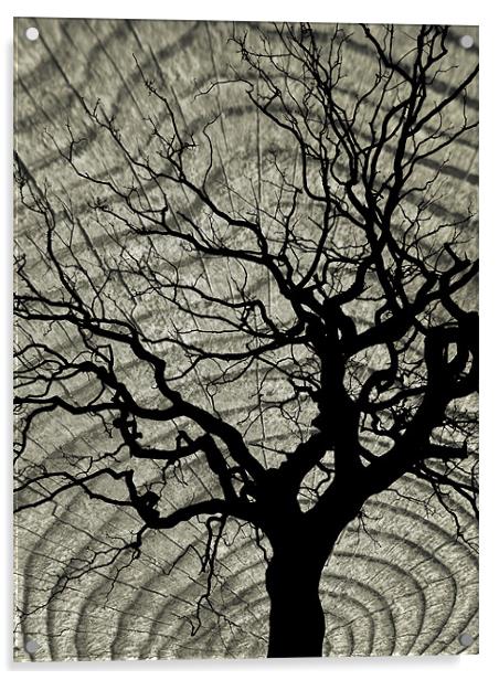 tree and wood Acrylic by Heather Newton
