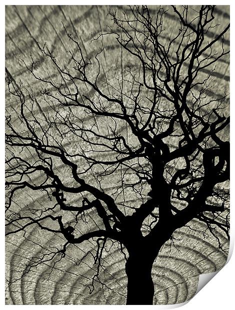 tree and wood Print by Heather Newton
