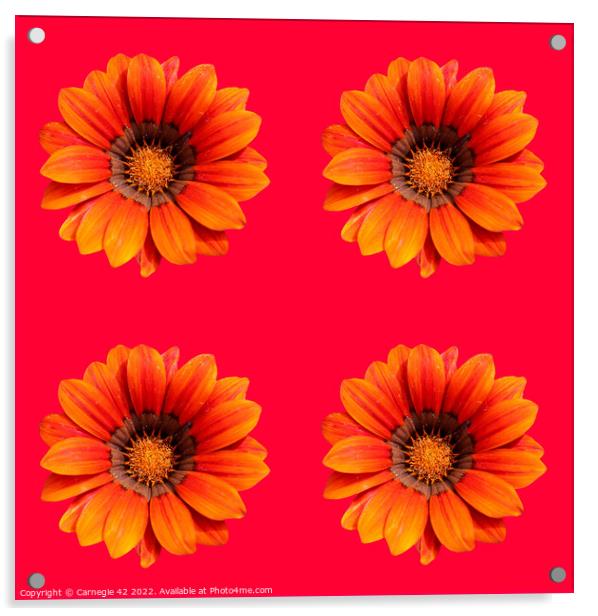 Digital Floral Splendour Acrylic by Carnegie 42