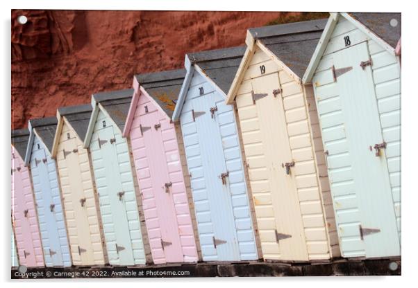 Enchanting Beach Huts of Exmouth Acrylic by Carnegie 42