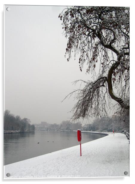 Kingston's Snow-Kissed Thames Landscape Acrylic by Carnegie 42