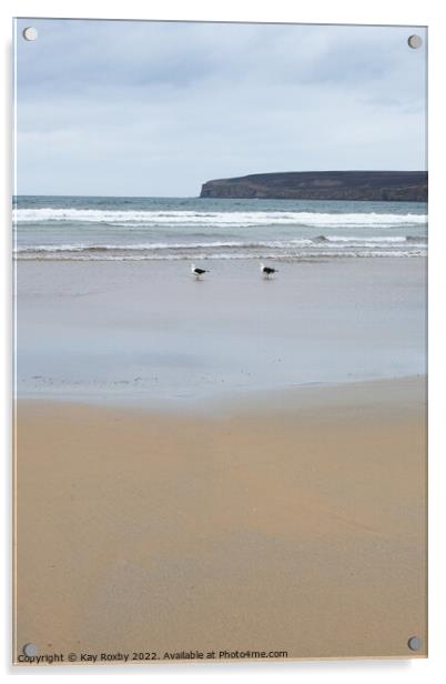 Dunnet Bay gulls Acrylic by Kay Roxby