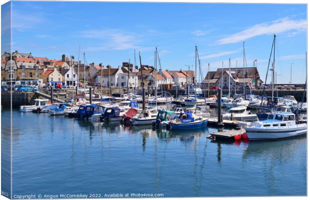 Yachts moored in Anstruther marina in Fife Canvas Print by Angus McComiskey