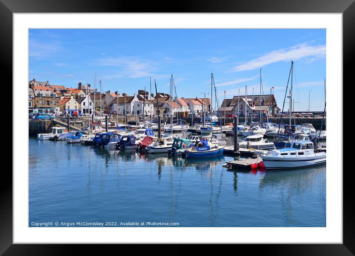 Yachts moored in Anstruther marina in Fife Framed Mounted Print by Angus McComiskey