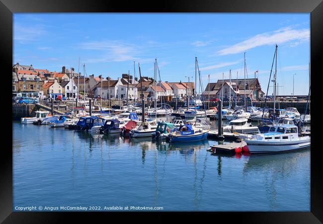 Yachts moored in Anstruther marina in Fife Framed Print by Angus McComiskey
