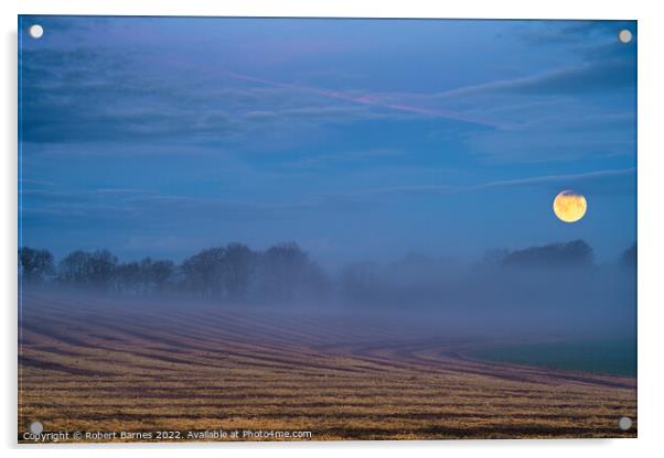Moon Rising Acrylic by Lrd Robert Barnes