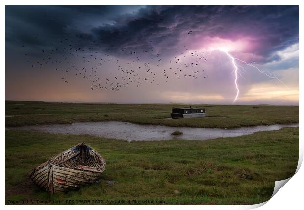 THE NORFOLK MARSHES 1 Print by Tony Sharp LRPS CPAGB