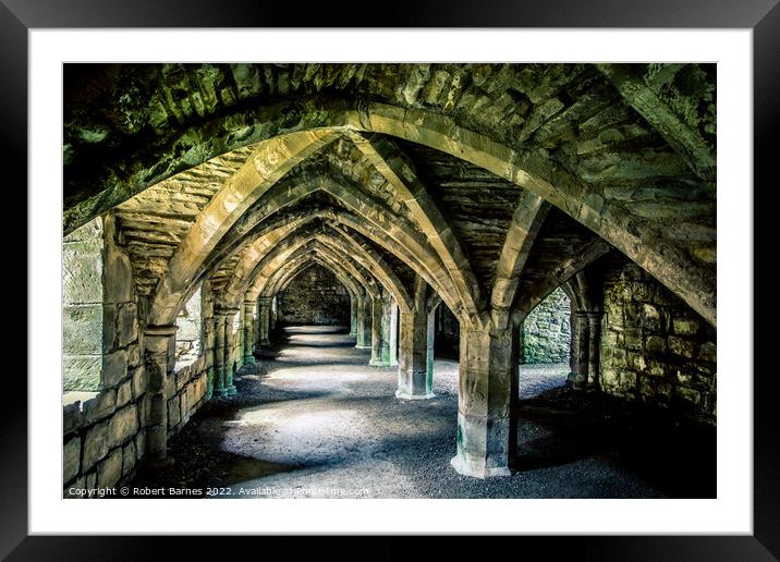 Uncovering the Mysteries of Finchale Priory Framed Mounted Print by Lrd Robert Barnes