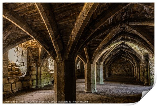 At The Arches Print by Storyography Photography