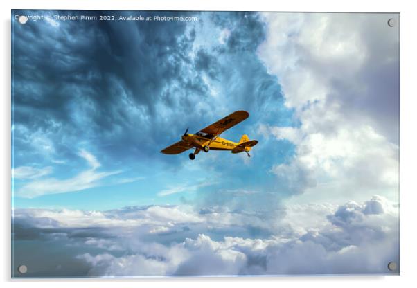 Plane Above Sky Acrylic by Stephen Pimm