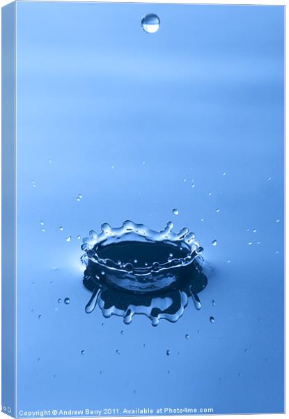 Water Drop Crown Canvas Print by Andrew Berry