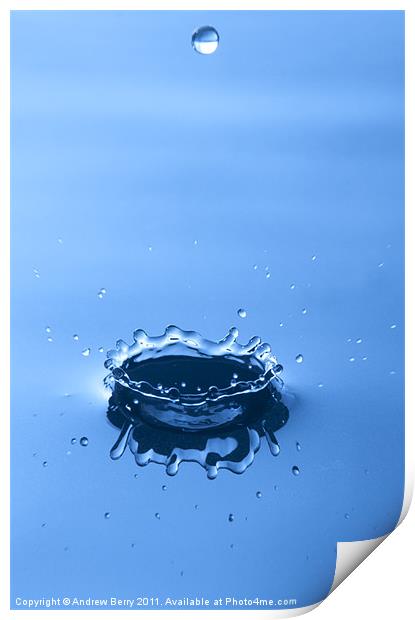 Water Drop Crown Print by Andrew Berry