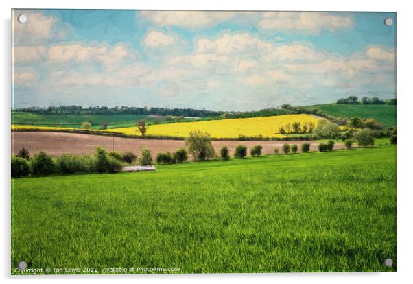 Rolling Hills of the Berkshire Downs Acrylic by Ian Lewis