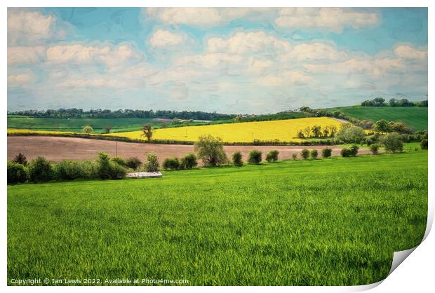 Rolling Hills of the Berkshire Downs Print by Ian Lewis