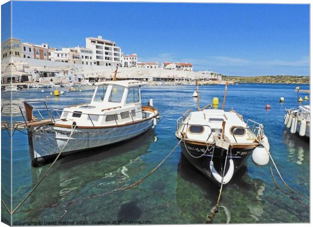 Menorca, Bay at Carla Fonts Canvas Print by David Mather