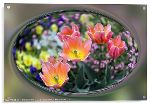 Golden pink tulips Acrylic by Marinela Feier