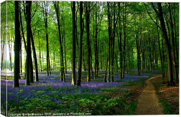 Bluebell wood and path Canvas Print by Oxon Images