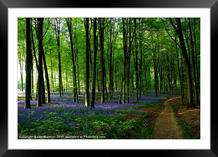 Bluebell wood and path Framed Mounted Print by Oxon Images
