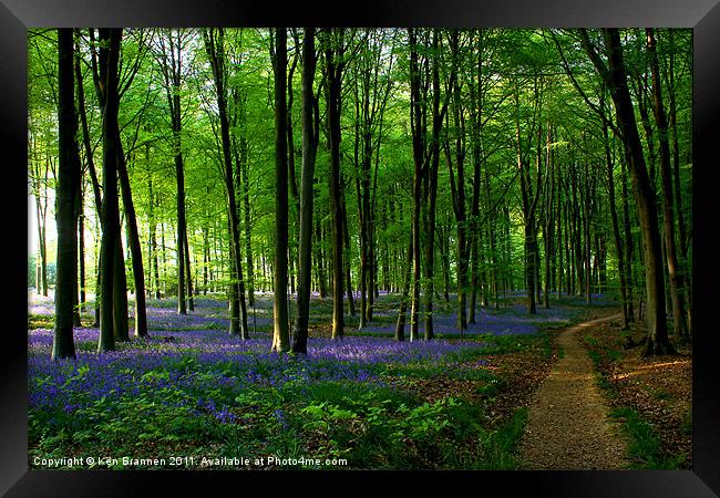 Bluebell wood and path Framed Print by Oxon Images
