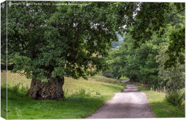 Peak District Country Lane Canvas Print by Gary Parker