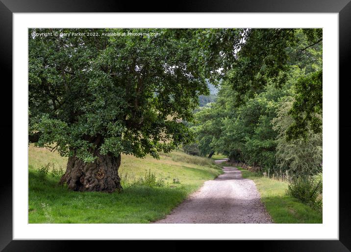 Peak District Country Lane Framed Mounted Print by Gary Parker