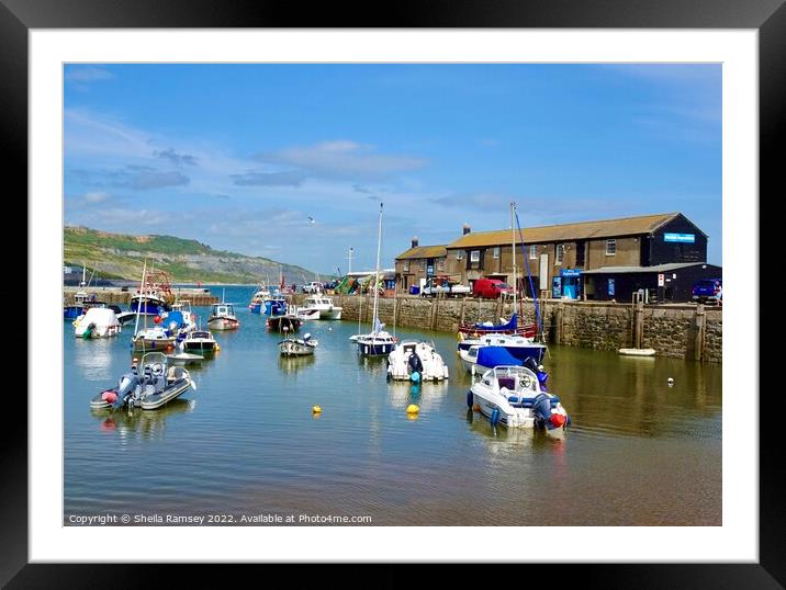 Lyme Regis harbour Framed Mounted Print by Sheila Ramsey