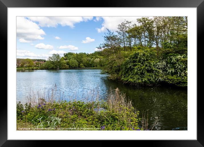 The Flash Lake, Telford Shropshire Framed Mounted Print by Pamela Reynolds