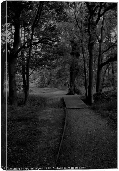 highwoods country park colchester Canvas Print by Michael bryant Tiptopimage