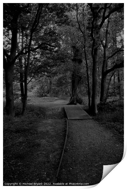highwoods country park colchester Print by Michael bryant Tiptopimage