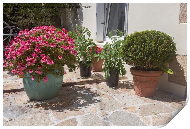 Flowered terrace with garden furniture Print by aurélie le moigne