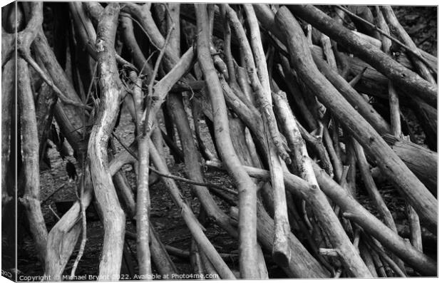 Stacked branches  Canvas Print by Michael bryant Tiptopimage
